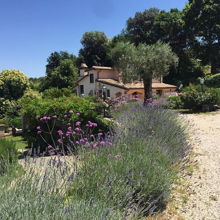 Olivella Vila Campagnano Di Roma Exterior foto